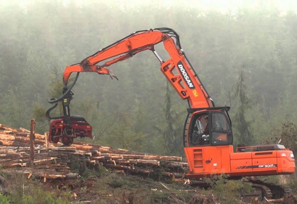 Перегружатель леса и металлолома DOOSAN DX300LL