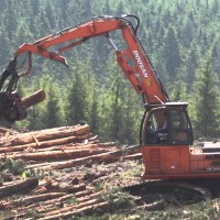 Спецтехника Перегружатель леса и металлолома   DOOSAN   DX225LL купить