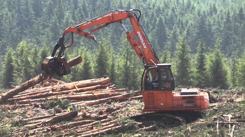 Фото Перегружатель леса и металлолома   DOOSAN   DX225LL, компания ООО Орланд