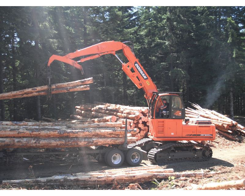 Фото Перегружатель леса и металлолома   DOOSAN   DX300LL, компания ООО Орланд